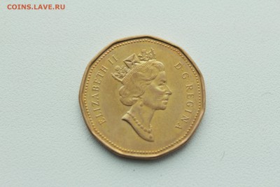  22:00 - IMG_0148.JPG
