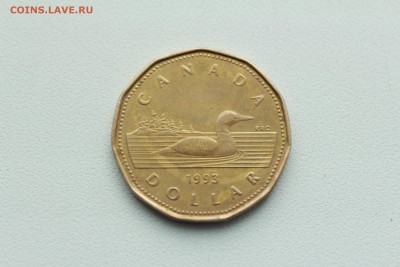  22:00 - IMG_0149.JPG