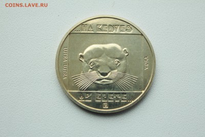  22:00 - IMG_0155.JPG