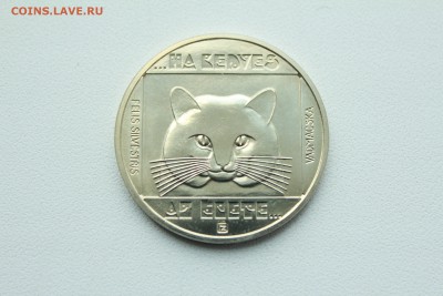  22:00 - IMG_0159.JPG