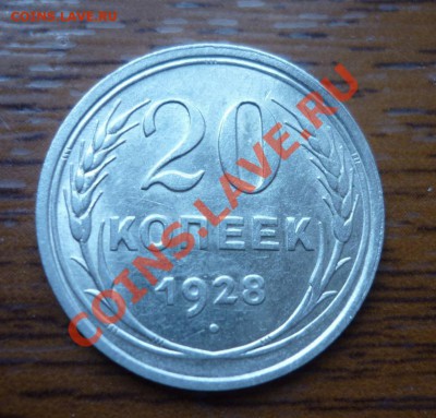 2011 - P1010157.JPG