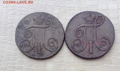 Представляю.  2к.  2шт.(ем)   Павла 1. - IMG_3791.JPG
