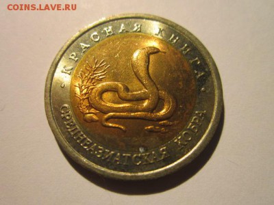 с 200 кк 1992 Кобра до 20.01.2017 в 22:30 - IMG_2018.JPG