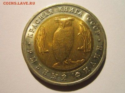 с 200 кк 1991 Филин до 20.01.2017 в 22:30 - IMG_2016.JPG