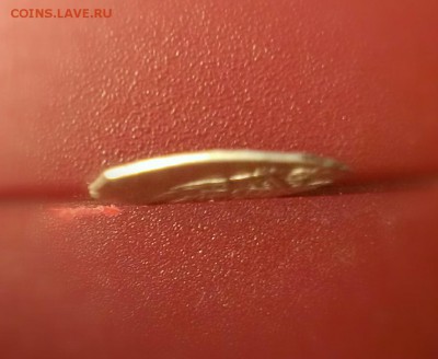 Серебряная чешуйка. Определение и оценка - IMAG2248_1
