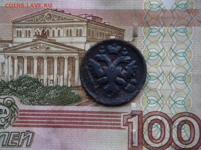 ДЕНГА 1737 - DSC01917.JPG