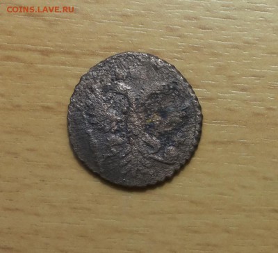 полушка 1731 перечекан римские цифры до 23.01 блиц - полушка 1731 1 2