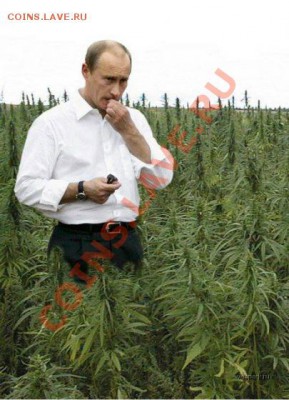 юмор - 67235aimgi11725756i101i14