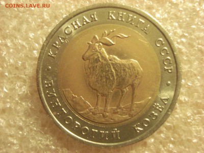 Красная книга 1991 г. Винторогий козёл-2 штуки до 22.01.17 - DSC07027.JPG