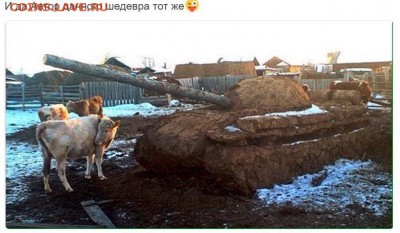 Скульптуры из балбаха и прочее! Балбах - навоз як. - танк