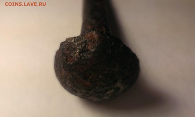 Древний гвоздь. Определить. - IMAG2259