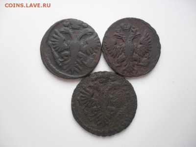Денга 1731 г. (одна черта), 1731 г. (две черты), 1749. - SAM_9704.JPG