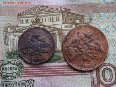 пара массонов - DSC01938.JPG