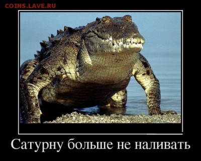 веселые картинки - 1484516339_14