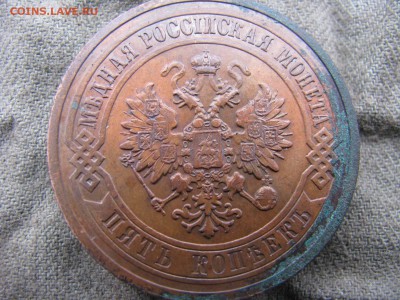 5 копеек 1911 с пб кладовая - IMG_5887
