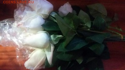 День рождения у Валеры Бирюк 15.01 - розы бел