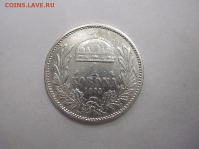 1 корона Ав-Венгрия 1893 до 21.01.17 - IMG_7298.JPG