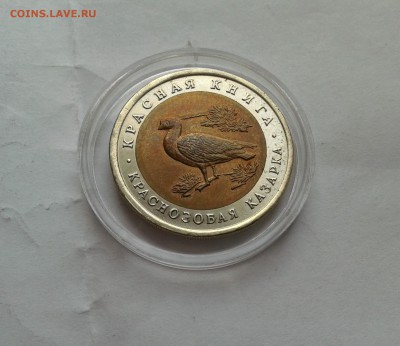 кк 5 рублей 1992г. Краснозобая казарка до 21.01.2017 в 22-00 - 20120102_025131
