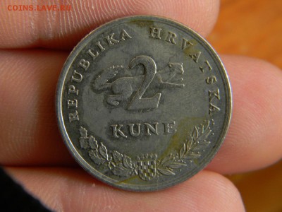 2 куны - DSCN9814.JPG