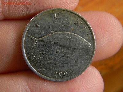 2 куны - DSCN9815.JPG