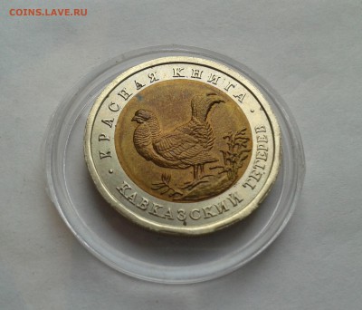 кк 50 рублей 1993г.Кавказский тетерев  до 22.01.2017 в 22-00 - 20120102_025712