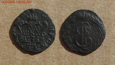 1771_Полушка_сибирская_до 22.01.17 - 1771_Полушка_Сиб2-300