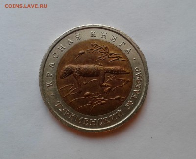 кк50 рублей 1993г.Туркменский зублефар  до23.01.2017 в 22-00 - 20120103_072114