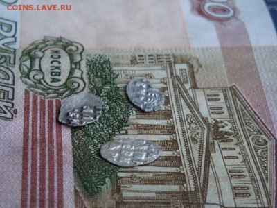 Чешуя Петр Алексеевич 3шт - DSC01983.JPG