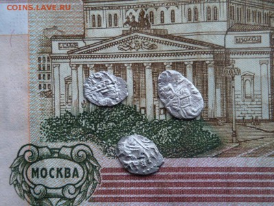 Чешуя Петр Алексеевич 3шт - DSC01978.JPG