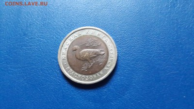 Казарка красная книга 92 года. До 26.01. - IMG_20170120_160226_0