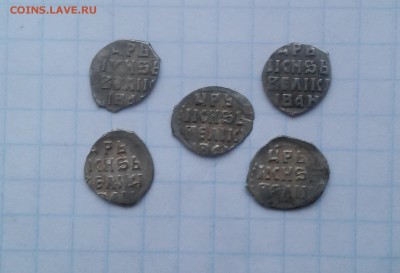 Атрибутация и определение чешуи (пополняемая). - 20170119_095336