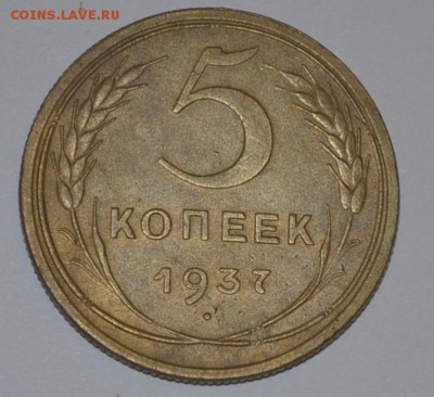 5 копеек 1937г хорошая - _DSC0345.JPG