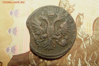 Денга 1731 г.,перечекан,выкус.До 22.01.2017 г.22 00 мск. - 101_4820.JPG