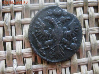Полушка 1735г. В альбом. До 26.01.2017г. - 041.JPG