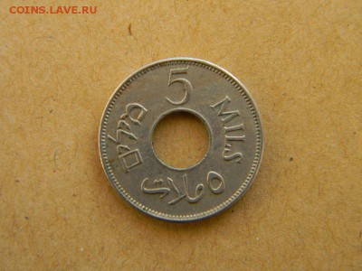 5 мил палестина - DSCN9914.JPG