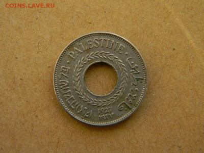 5 мил палестина - DSCN9915.JPG