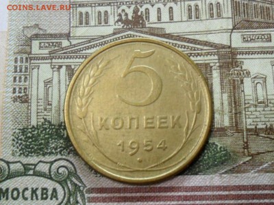 5 коп. 1954 г  (Хорошенькая) ок 29.01.17 в 22.20 по МСК. - SAM_8867