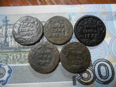 5 полушек №7 - SAM_0342.JPG