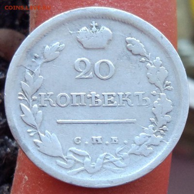 20 копеек 1819 СПБ ПС - до 26.01.17 в 22:00 - с 200р - 20_1819_1
