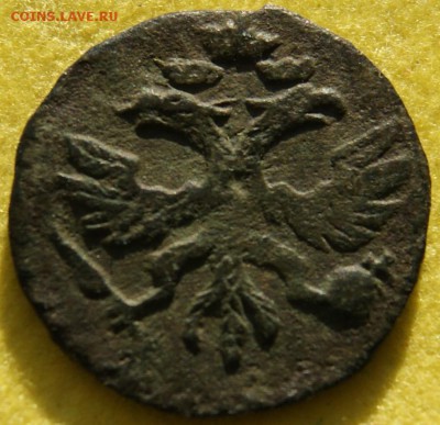 ВРП полушка 1720г. (год цифрами) - 2