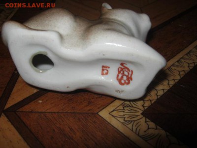 Кошка ЛФЗ до 21-00 30.01.17 - IMG_3784.JPG
