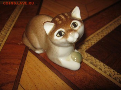 Кошка ЛФЗ до 21-00 30.01.17 - IMG_3783.JPG