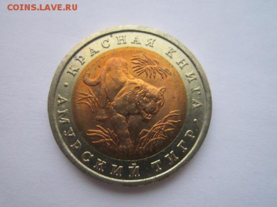 с 200 кк 1992 Тигр до 29.01.2017 в 22:30 - IMG_2128.JPG