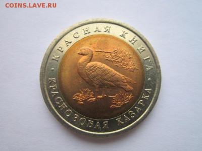 с 200 кк 1992 Казарка до 29.01.2017 в 22:30 - IMG_2130.JPG