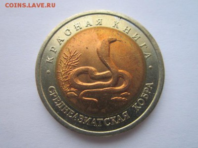 с 200 кк 1992 Кобра до 29.01.2017 в 22:30 - IMG_2132.JPG
