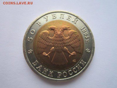 с 200 кк 1993 Медведь до 29.01.2017 в 22:30 - IMG_2135.JPG