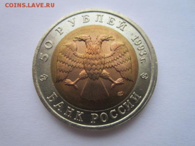 с 200 кк 1993 Зублефар до 29.01.2017 в 22:30 - IMG_2137.JPG