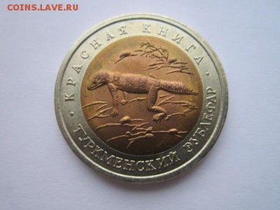 с 200 кк 1993 Зублефар до 29.01.2017 в 22:30 - IMG_2136.JPG