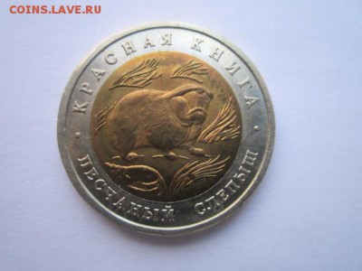 с 200 кк 1993 Слепыш до 29.01.2017 в 22:30 - IMG_2144.JPG
