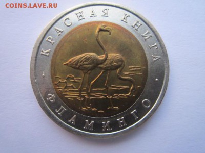 с 200 кк 1994 Фламинго до 29.01.2017 в 22:30 - IMG_2146.JPG